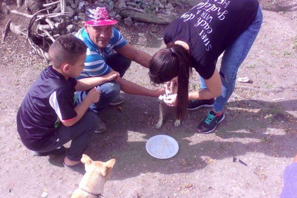 Unos 50 perros han sido rescatados y adoptados gracias a la gestión del refugio que apenas lleva unos cinco meses de operaciones. Foto: Cortesía del proyecto