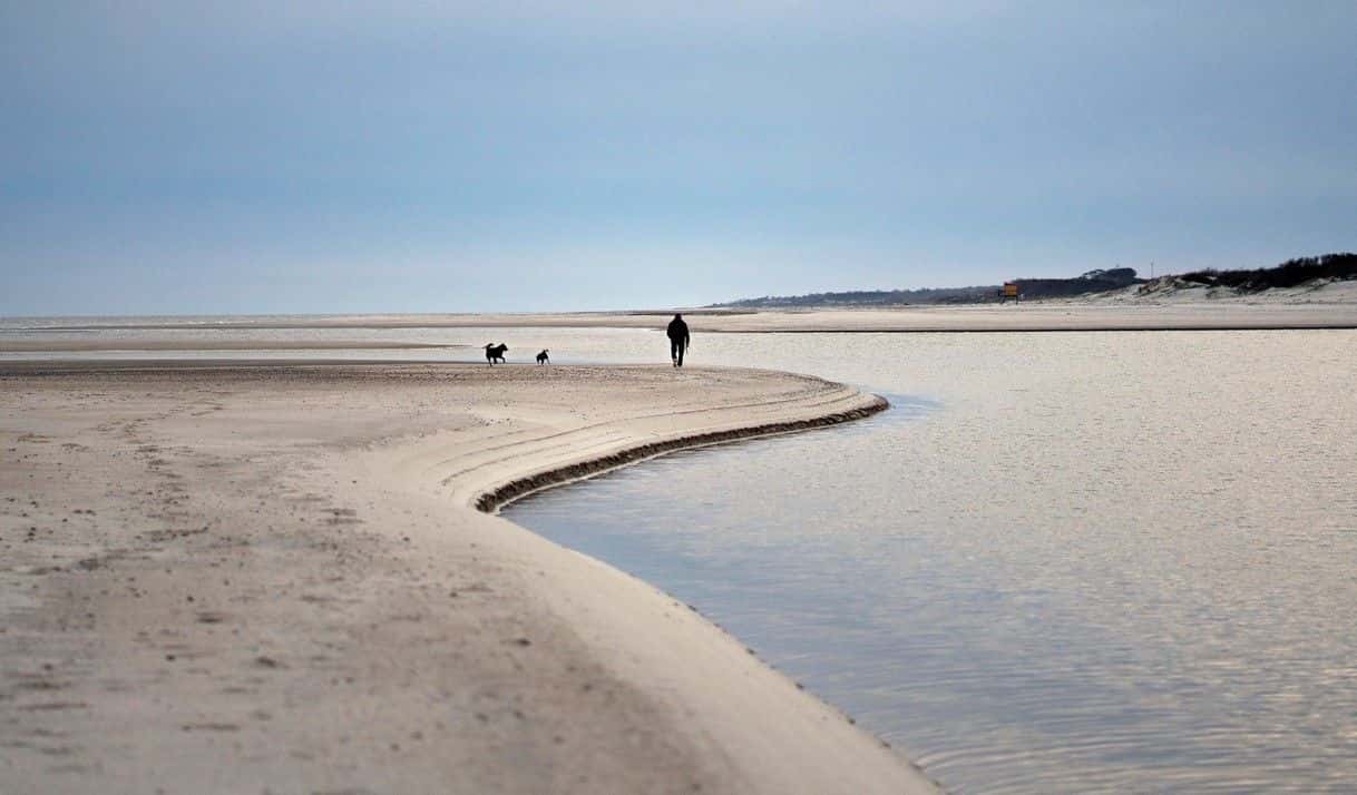 AP Foto/Matilde Campodónico