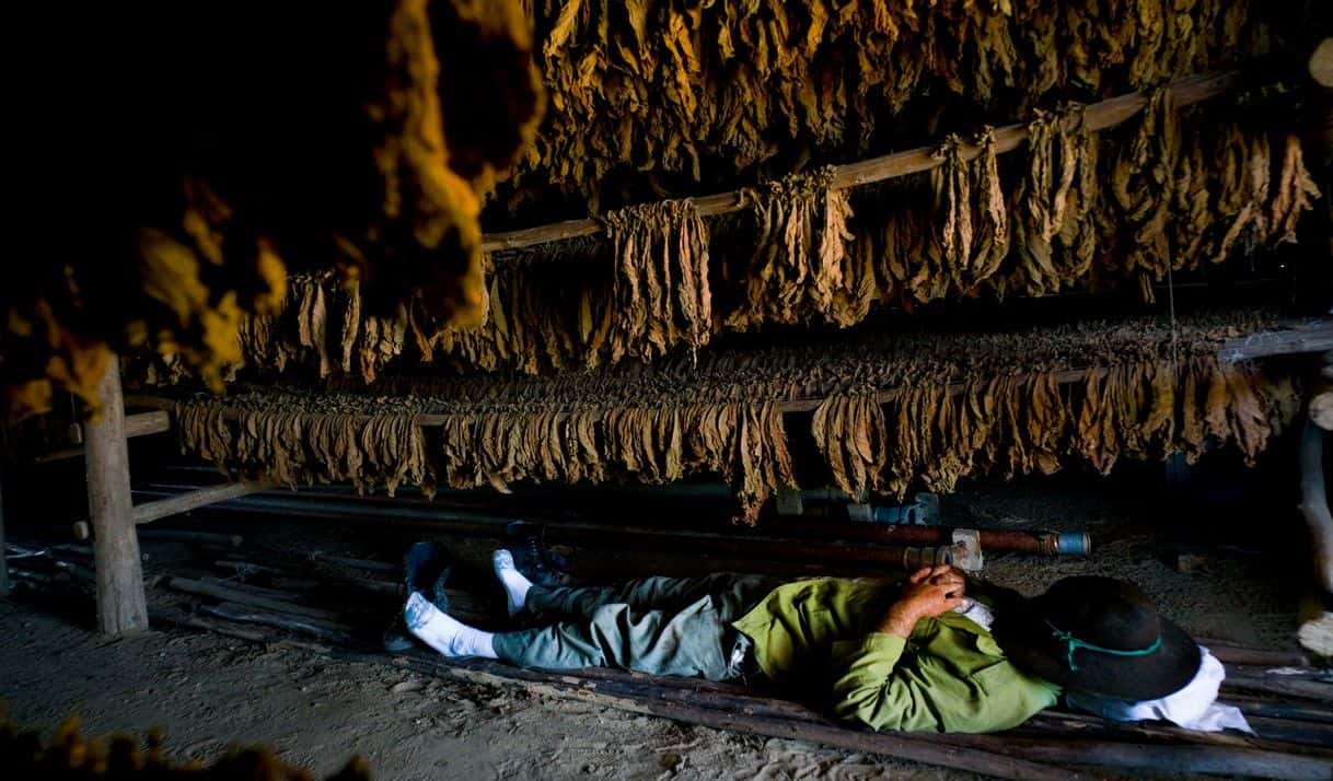 Kirby Allison, el <i>influencer </i>del lujo elegido para sostener Habanos 