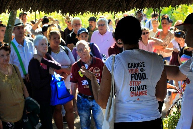 Mercado de la Tierra refuerza la agroecología en La Habana