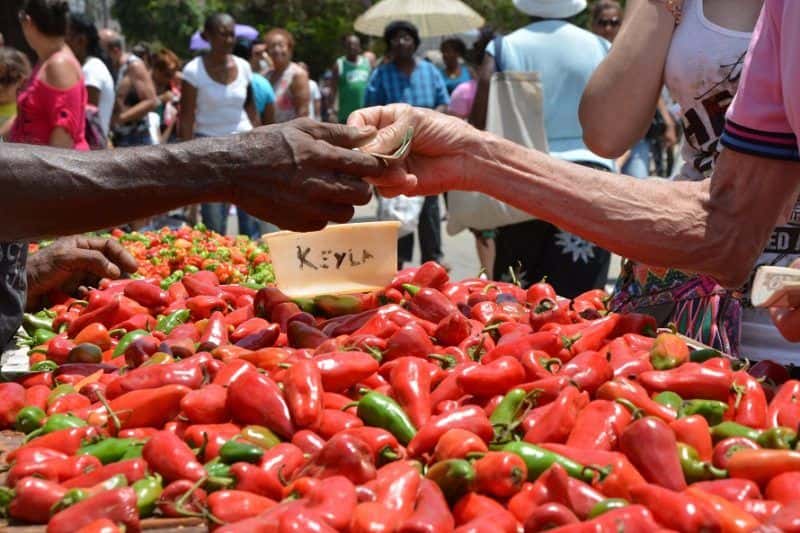 Farmer’s market in Cuba. Photo: Jorge Beltran (elTOQUE)