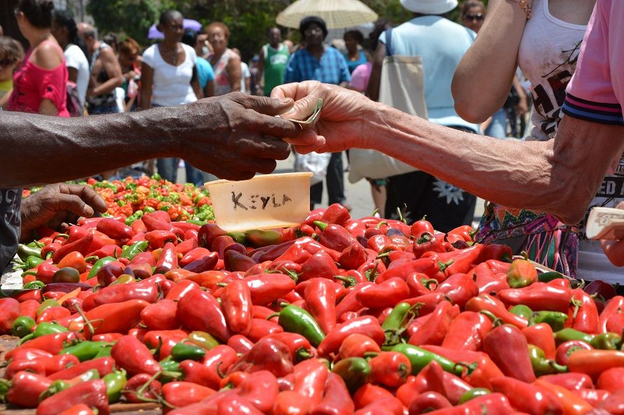 Feria agropecuaria en Cuba. Foto: Jorge Beltrán (elTOQUE)