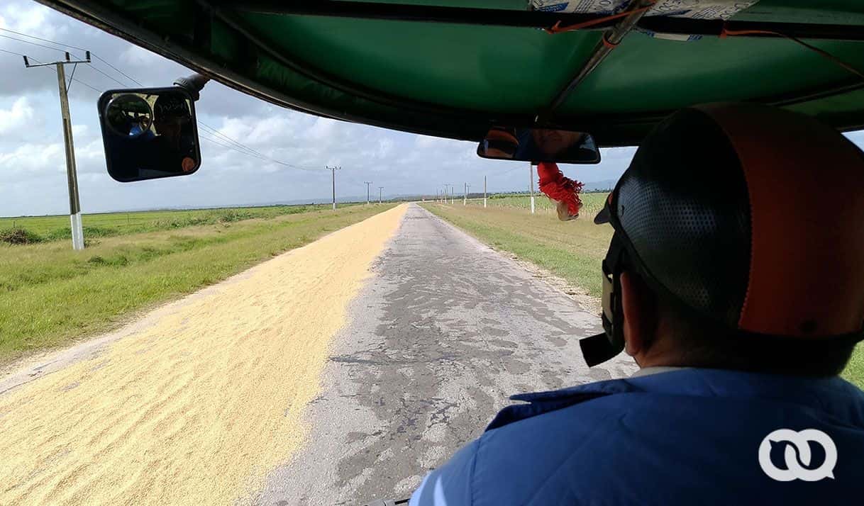 A falta de secaderos los campesinos deben secar el arroz en la carretera. Foto: Cortesía de un entrevistado.