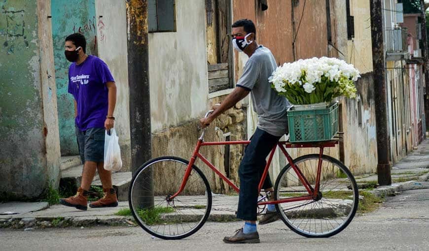 El florero, con sus mariposas y azucenas, también vuelve a las calles. Foto: Amarilis Magaña Stable.