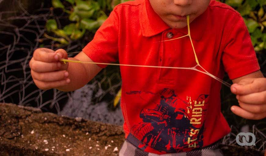 En Cuba cada vez es más difícil encontrar caramelos, chicles y confituras en general. Ahora, las pocas que existen las venden en divisas, inaccesibles para la mayoría de los padres.