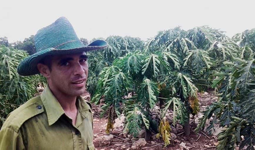 El campesino que saca frutas de las piedras