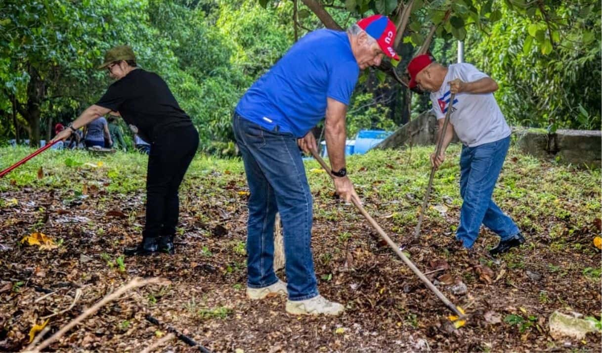 La recogida de un domingo no limpiará la podredumbre estructural. Foto: Presidencia Cuba/X.