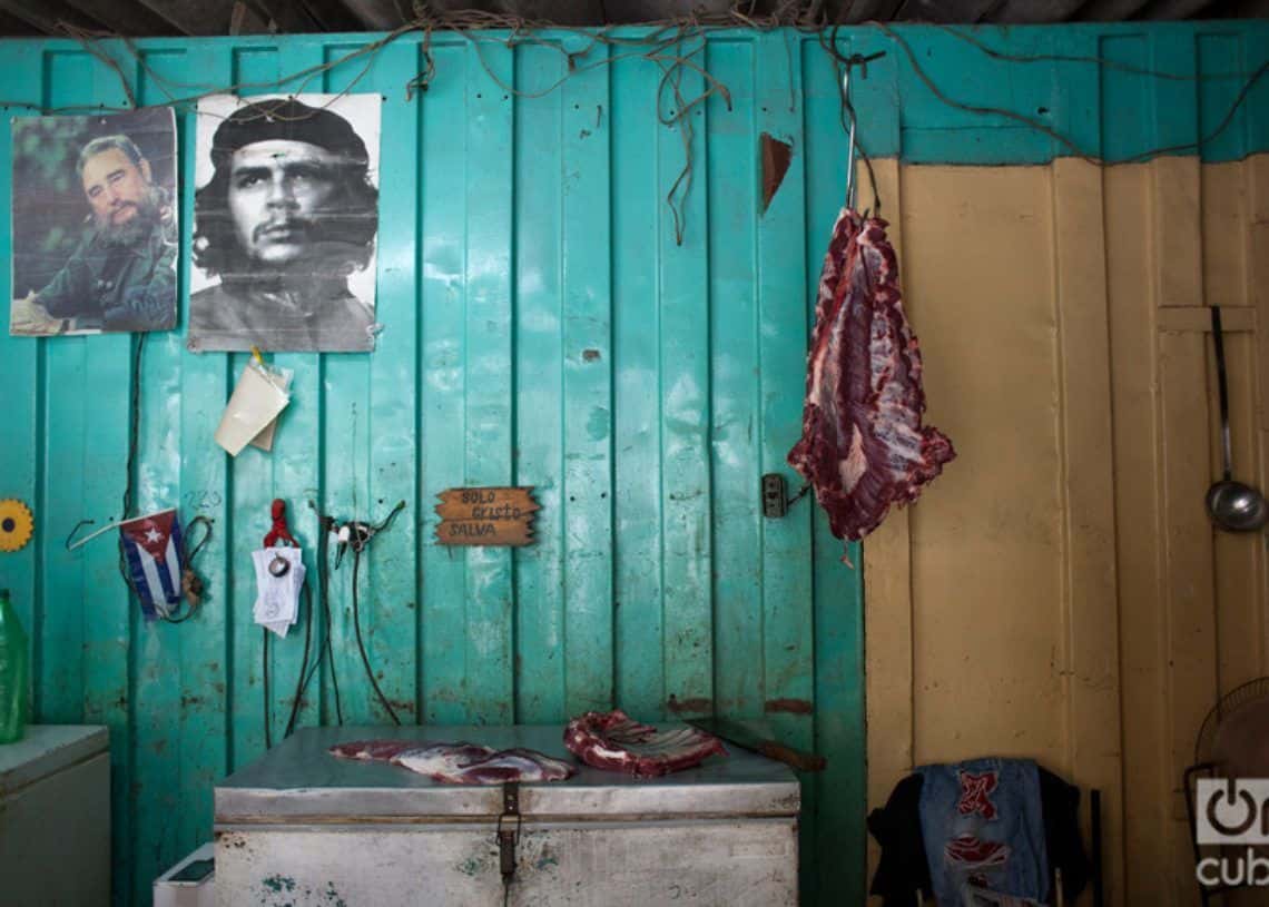 Foto: Pedro Chavedar. 