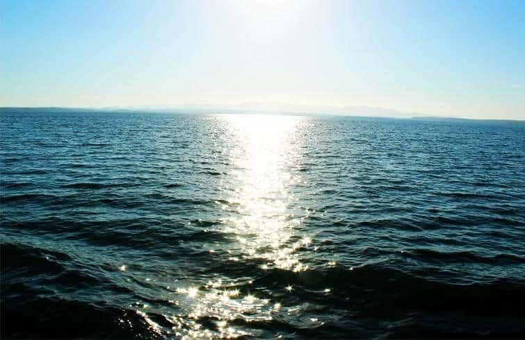 pesca_con_adrenalina