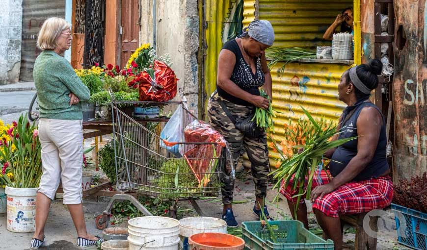 Este 21 de julio expertas en temas de género anunciaron la creación de una guía para atender denuncias telefónicas sobre violencia de género en Cuba. Foto David Estrada (elTOQUE).