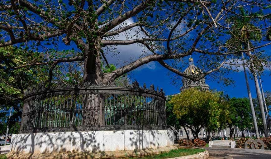 El diálogo como camino posible: propuestas y recursos para la resolución del conflicto actual en Cuba