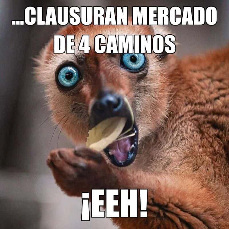 Memes del episodio 14