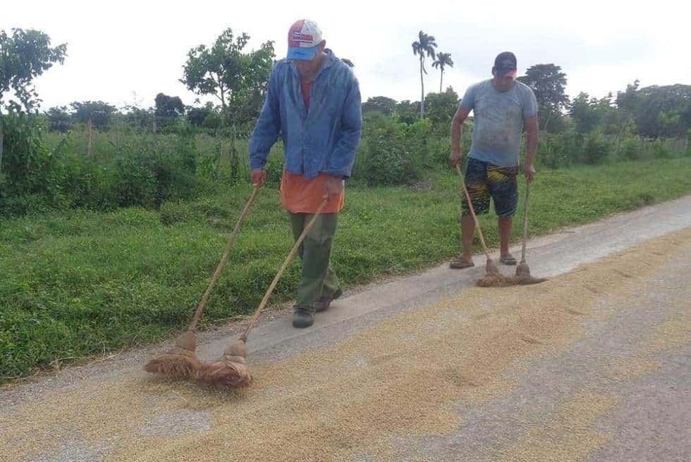 Foto del autor