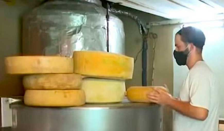 Productor privado de queso en Artemisa fue procesado por la policía. Foto: captura de reporte de televisión