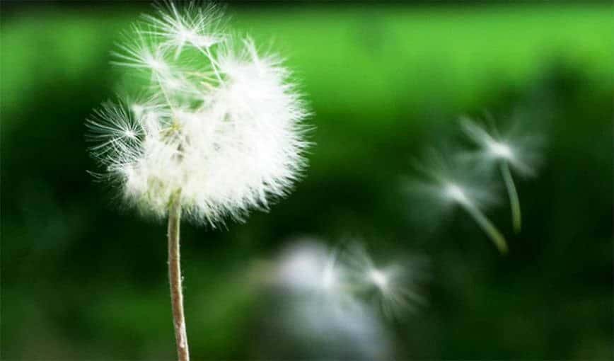 ¿Podemos hablar de comunidad LGBTQI en Cuba?