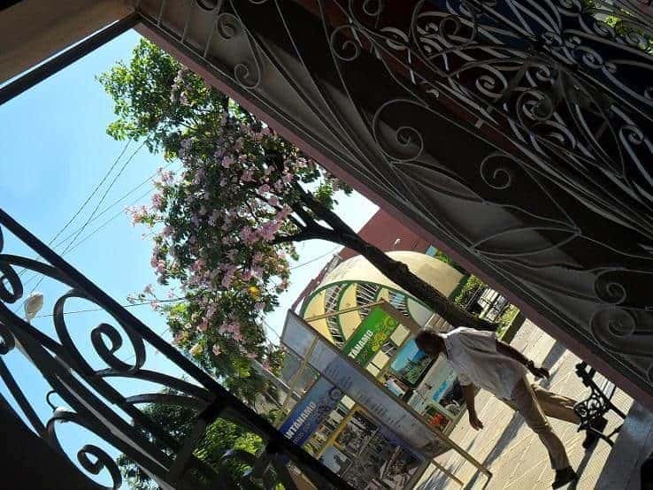 Foto: Lilibeth Alfonso