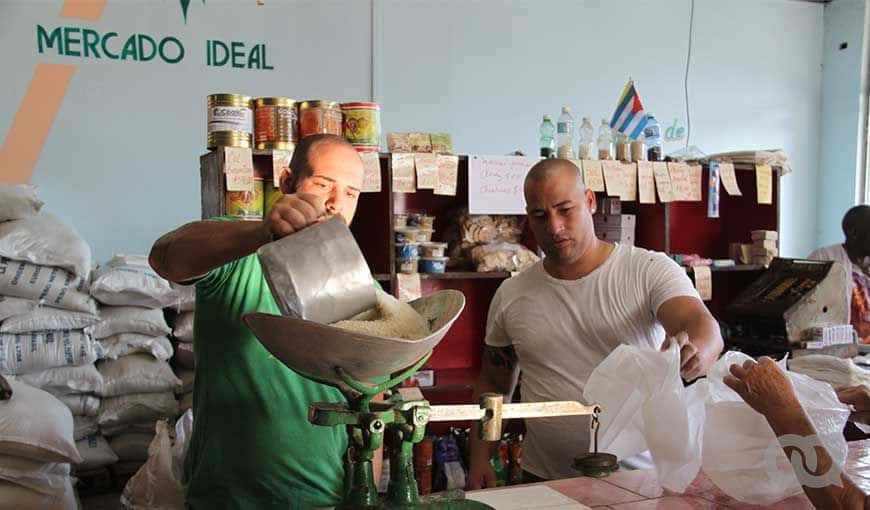 Foto: Jorge Beltrán. 
