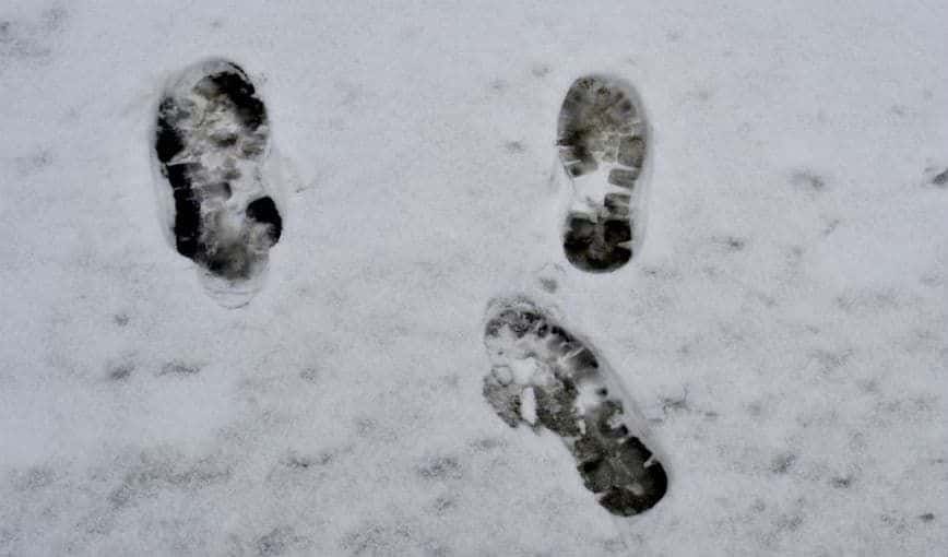 Huellas en la nieve