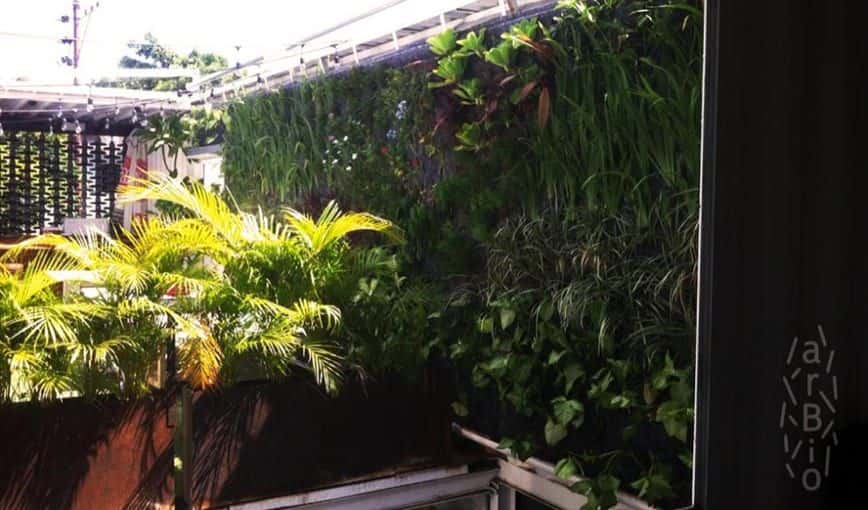 Jardines verticales en La Habana