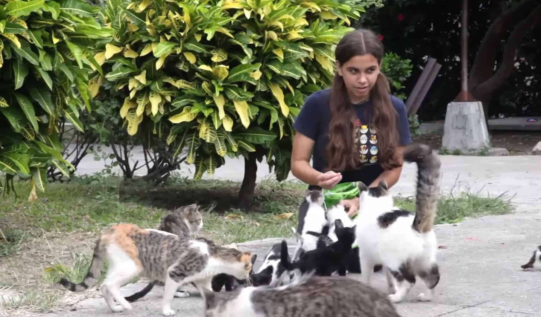 Una niña rescata gatos en La Habana. Foto: Claudio Peláez