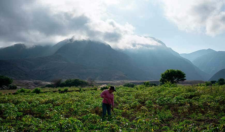 Las mujeres que le ganaron al desierto en Ecuador