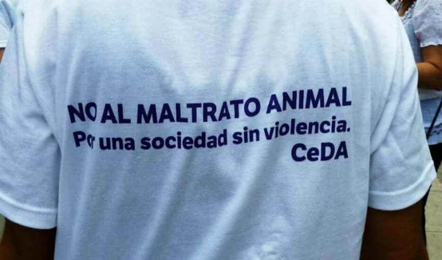 Foto cortesía de la entrevistada