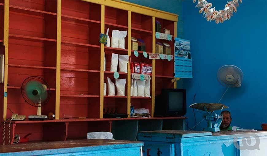 Foto: Jessica Dominguez