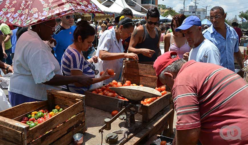 Foto: Jorge Beltrán.