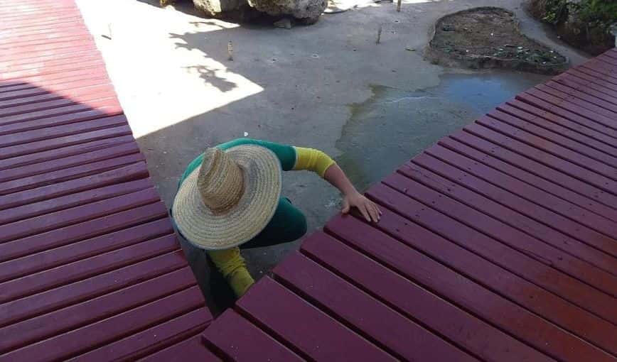 Foto: Meliá Cayo Coco (tomada de la página de Facebook de Melía Hoteles Cuba)