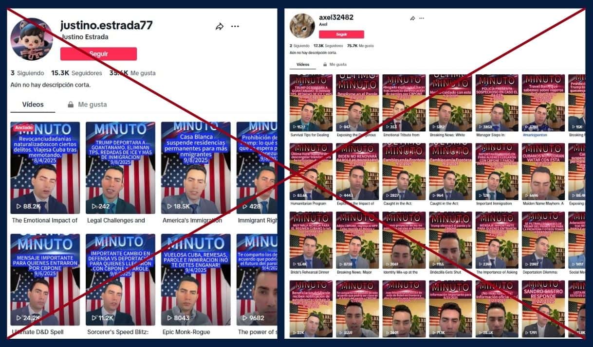 Capturas de publicaciones en TikTok.