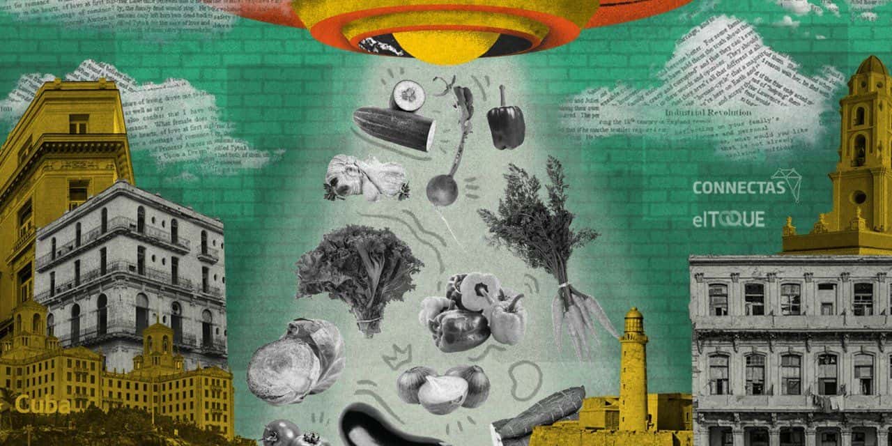 Diseño: Janet Aguilar