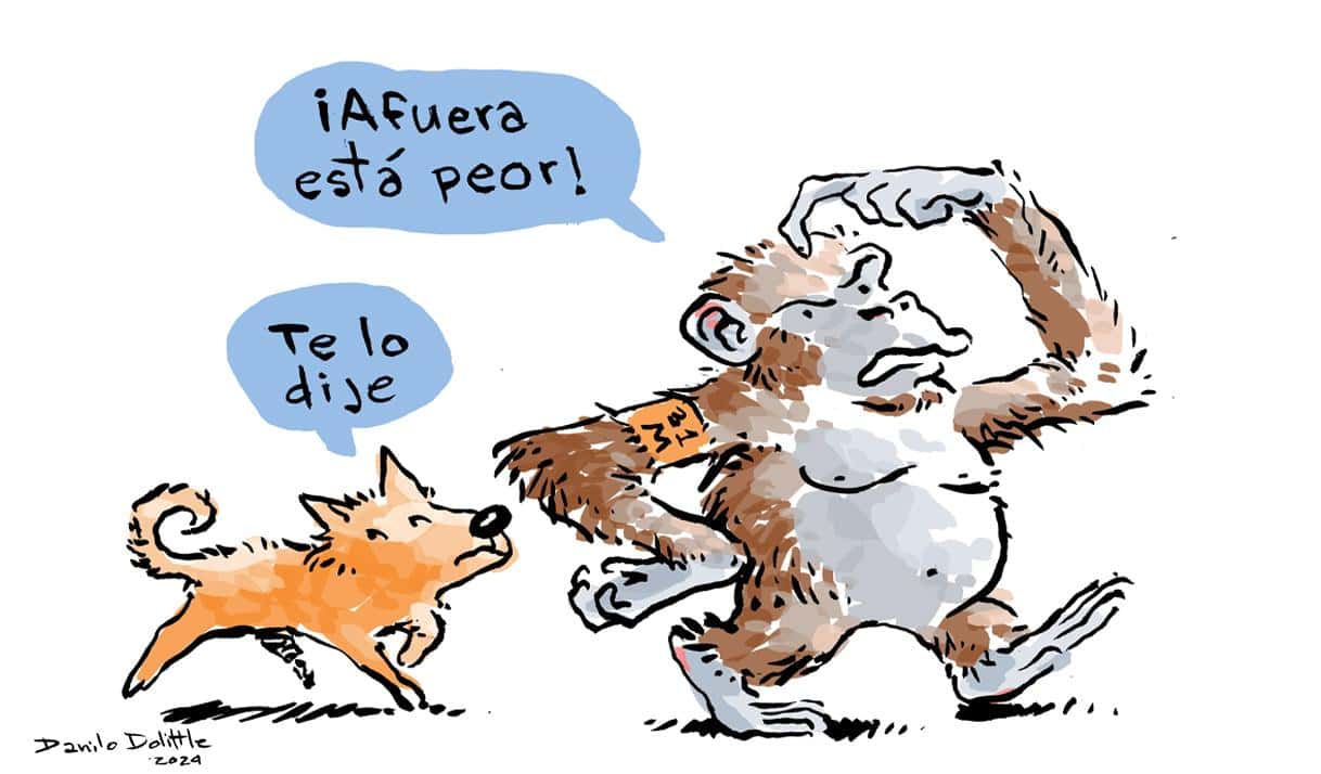 Ilustración: Danilo