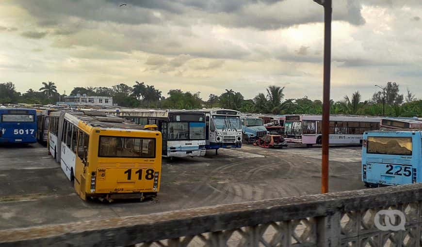 Foto: Abraham Echevarría.