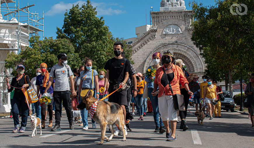 Animal rights activists Cuba