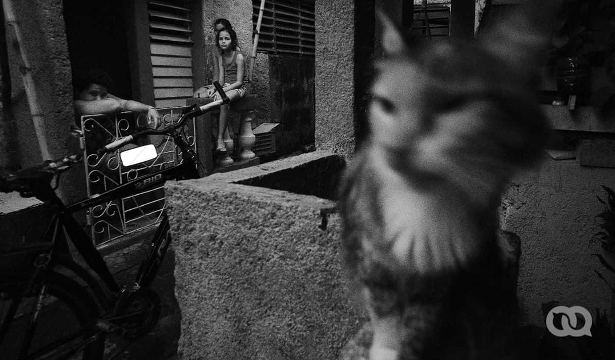 Fotos: David López.