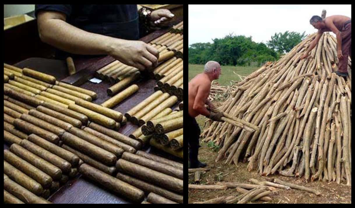 Fotos: tomadas de la prensa oficial cubana.