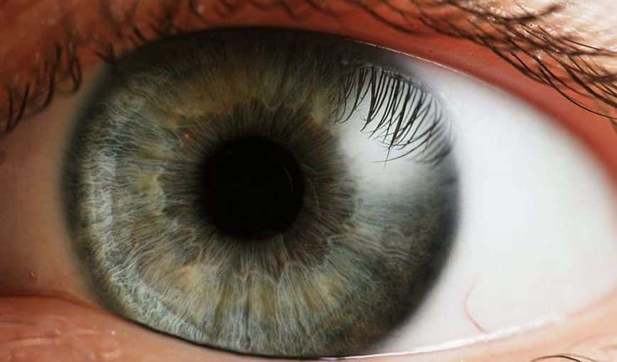 Oficio de mirahuecos