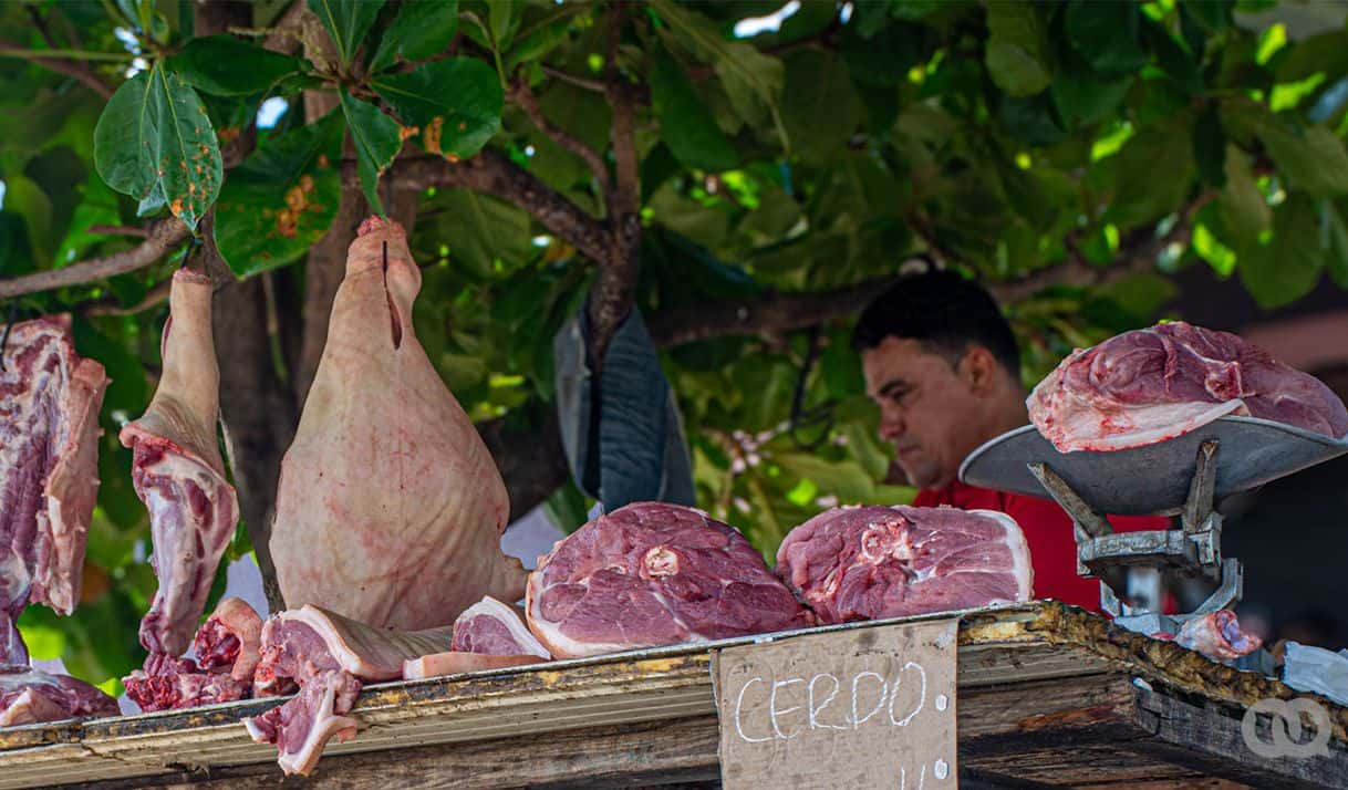 carne de cerdo hombre