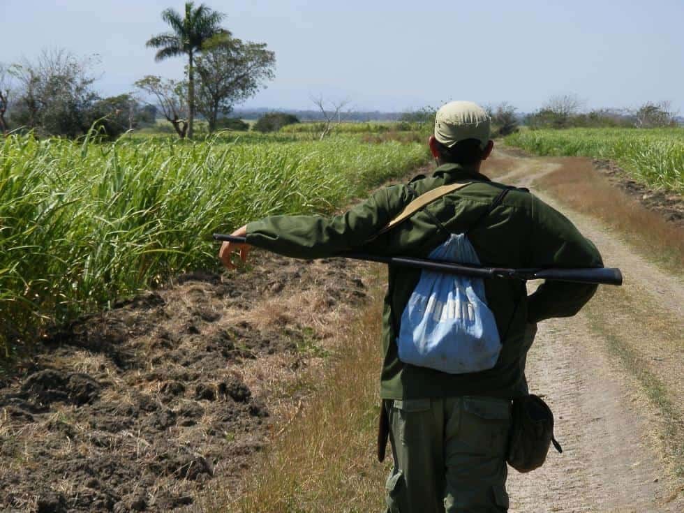 más_tierras_en_usufructo,_primero_de_muchos_cambios_urgentes_en_el_campo_cubano