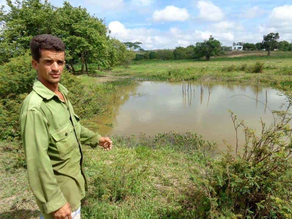 la_naturaleza_no_ayuda_a_dennis