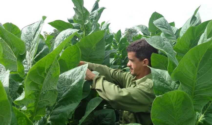 La naturaleza no ayuda a Dennis