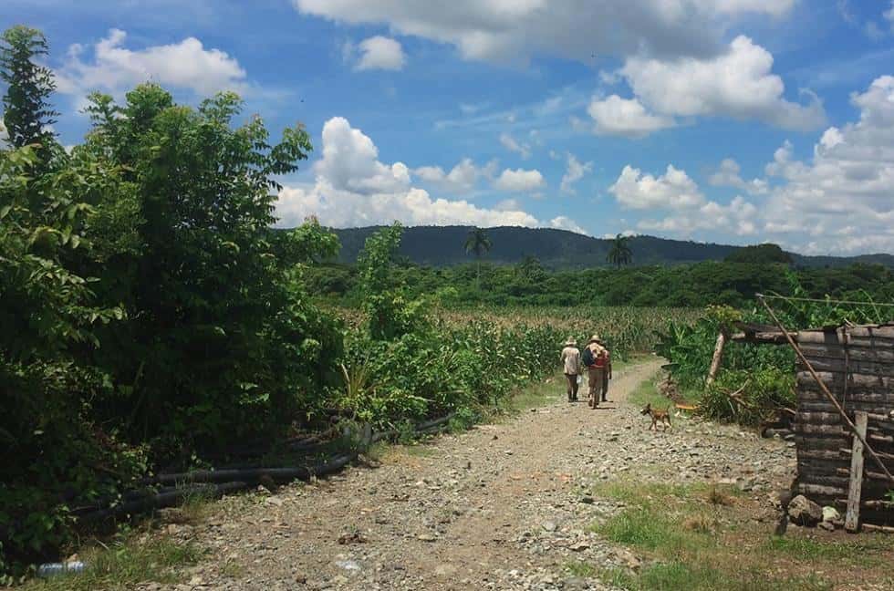más_tierras_en_usufructo,_primero_de_muchos_cambios_urgentes_en_el_campo_cubano