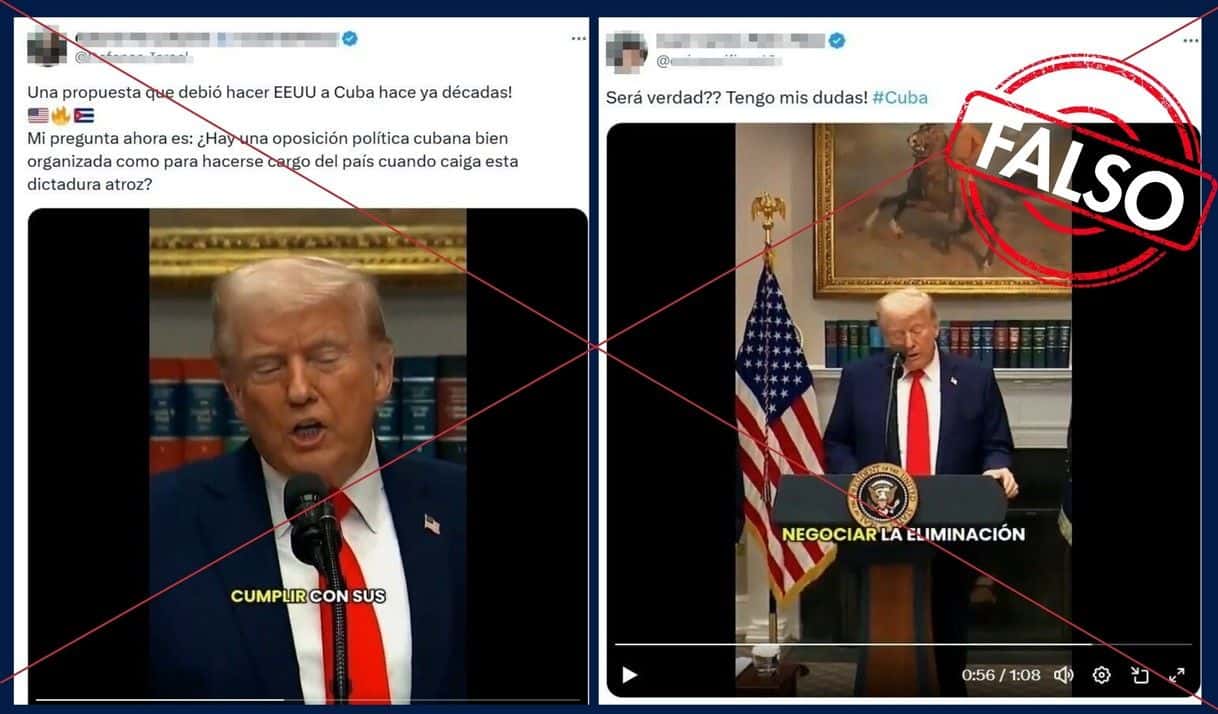 Fotomontaje de elTOQUE: Capturas de video viral en X.
