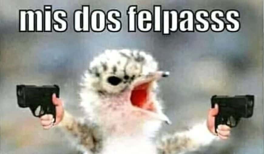 Memes cubanos: Lucía, Lili y la estafa de las dos felpitas 