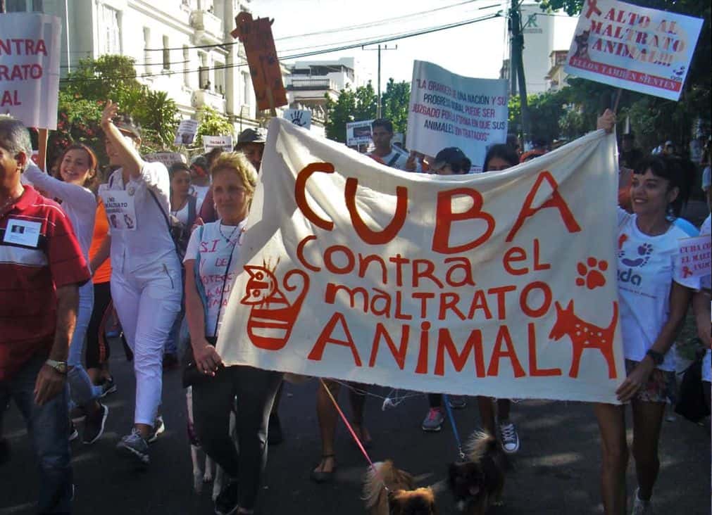 Avatares de una marcha animalista en Villa Clara