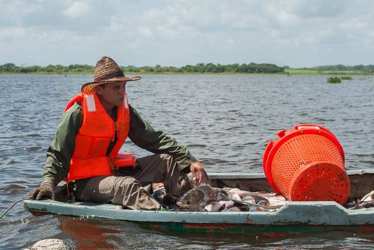 Pescador pescado