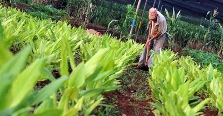 Cuba: soluciones económicas en casa