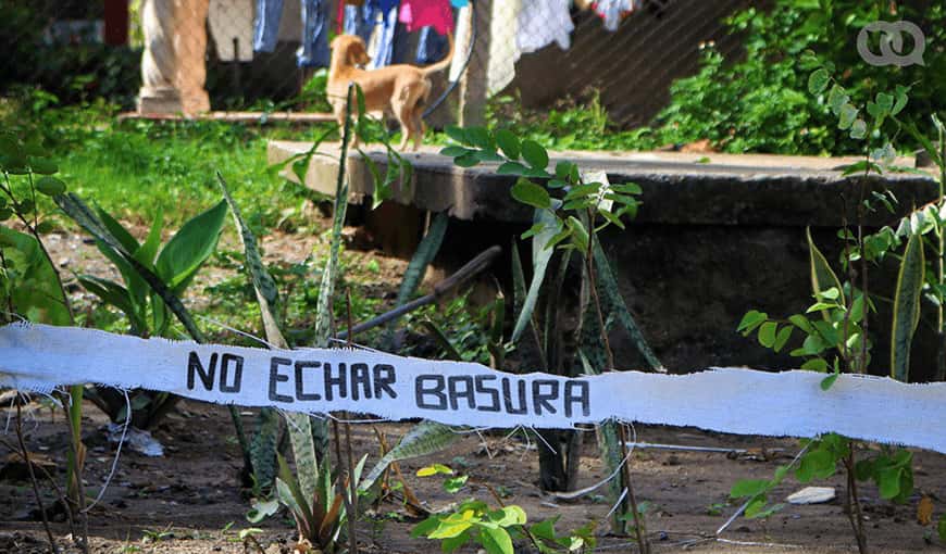 Una iniciativa vecinal logró convertir un antiguo basurero en un jardín. Foto: Kyn Torres
