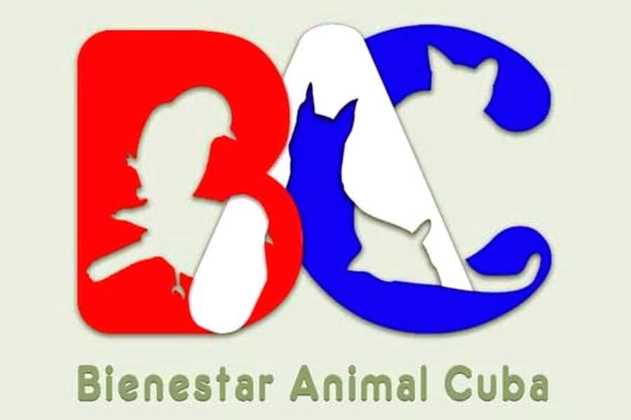 Red busca unificar el movimiento animalista en Cuba