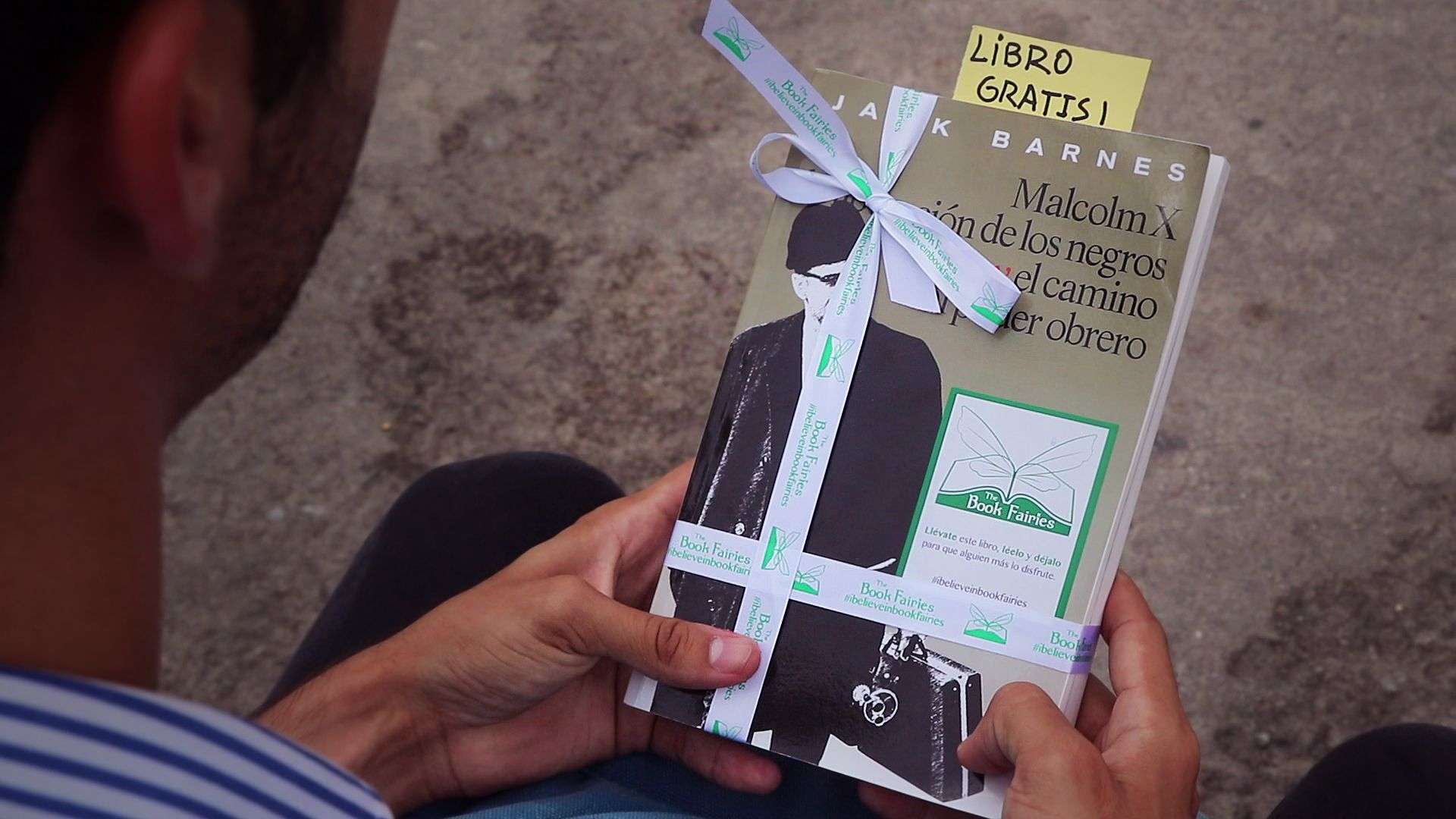 Las hadas de los libros pueden esconder cualquier volumen la sala de un hospital pediátrico, un parque, la parada de una guagua o cualquier otro sitio. Foto: Kyn Torres.